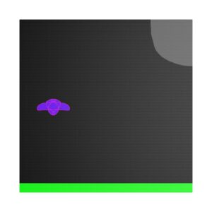 bug in the night field