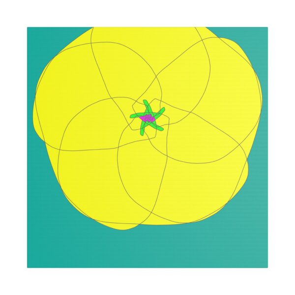 yellow and pink flower